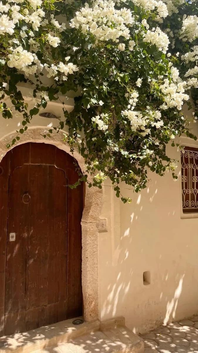 White bougainvillea flowers on door
