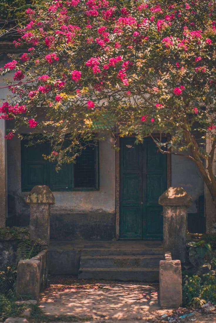 A courtyard with a vintage look