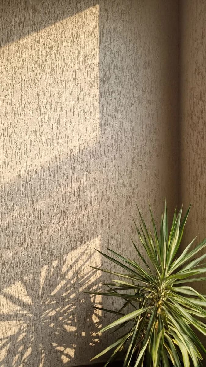 Textured wall with plant + strong sunlight shadows