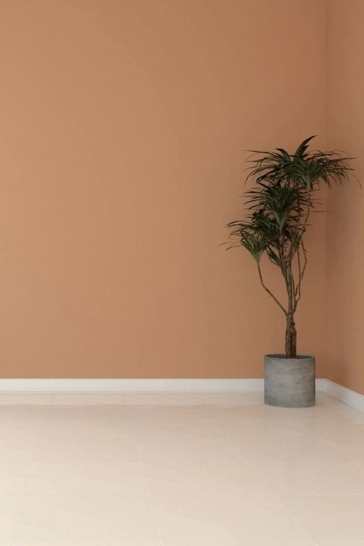Warm peach interior corner (plant + concrete pot)