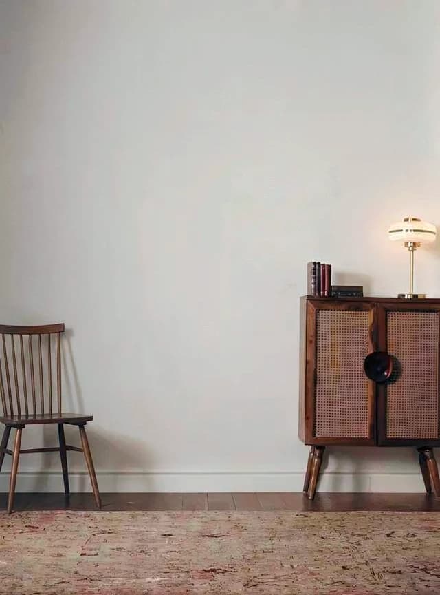 Mid century modern interior